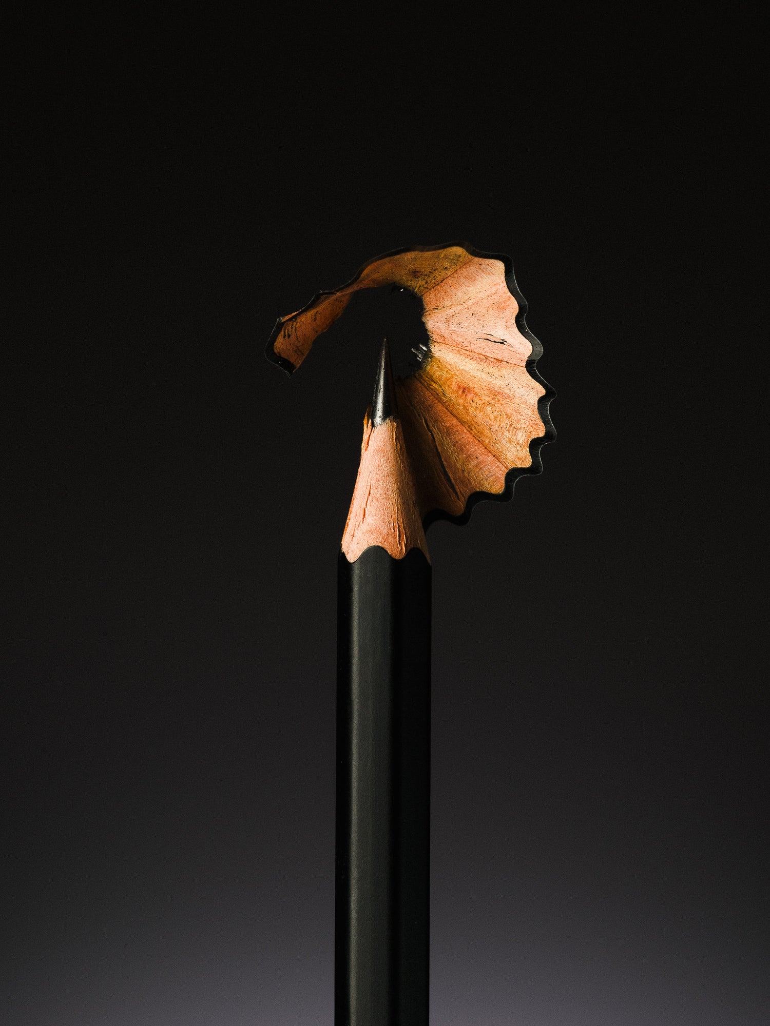A sharpened black pencil stands upright with a single curled shaving spiraling upward like a ribbon, set against a dark gradient background. This minimalist still life was captured by Toronto-based photographer Nicholas Hyatt, showcasing precision, craftsmanship, and sculptural form in commercial product photography.